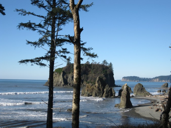 Pacific Northwest coastal scene