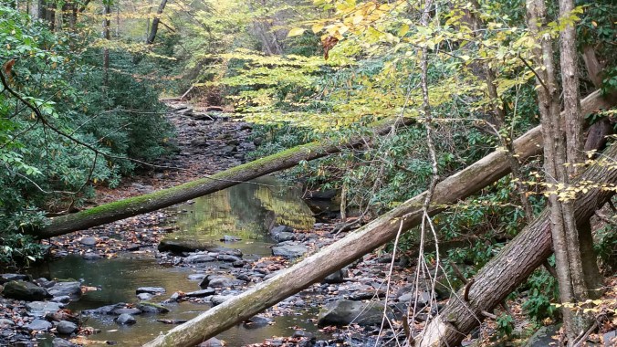 20161016_120512_1477953257672_resized