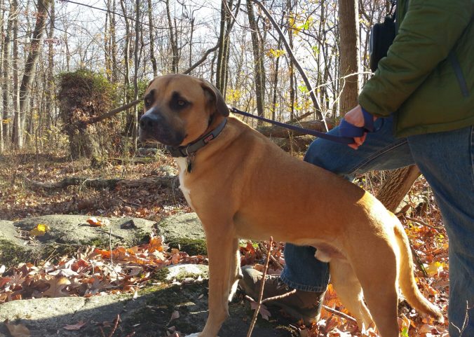 20161122_140051_resized